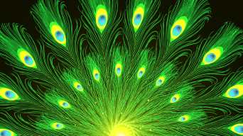 4k民族舞孔雀舞背景循环-2视频素材