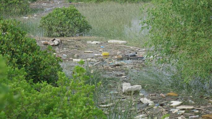 河流污染-河流垃圾