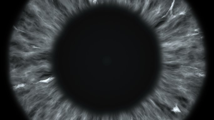 模拟瞳孔