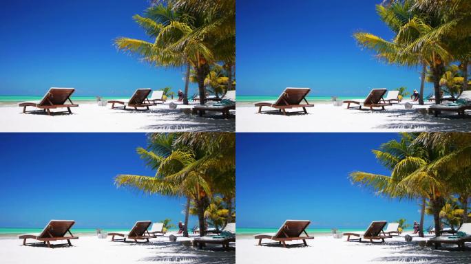 热带海滩岛屿海岸线椰子树