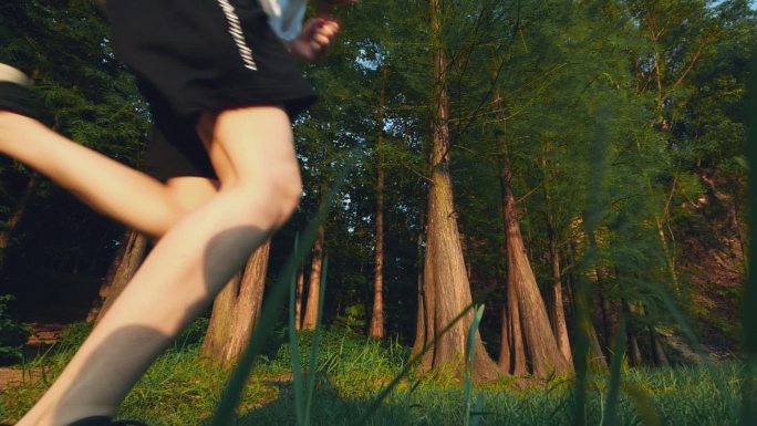树林跑步，晨练晨跑视频素材