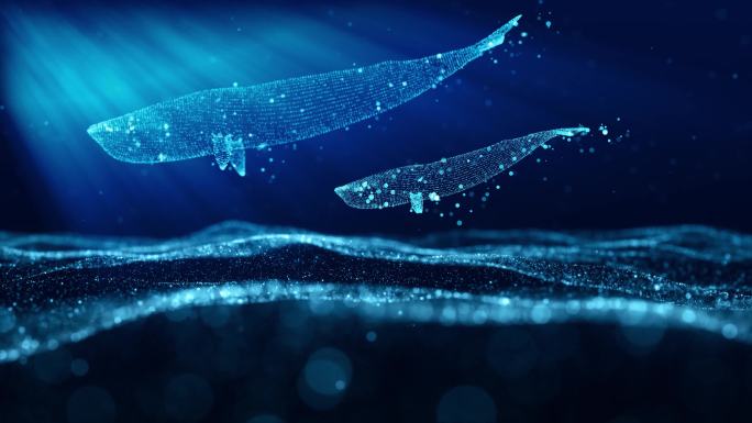 鲸鱼海洋梦幻背景