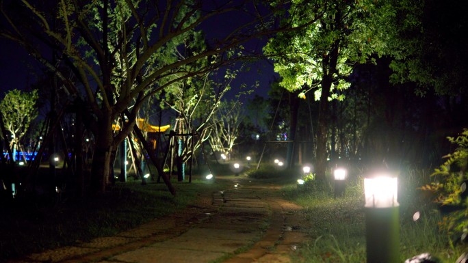 静悄悄的夜、夜晚路灯道路亮化