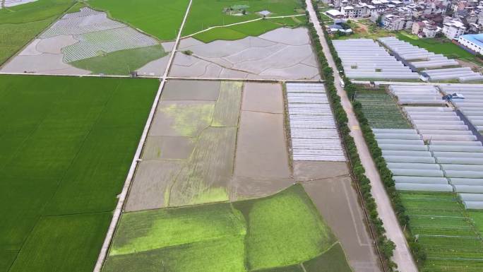 闽侯县农业基地航拍素材 乡村振兴