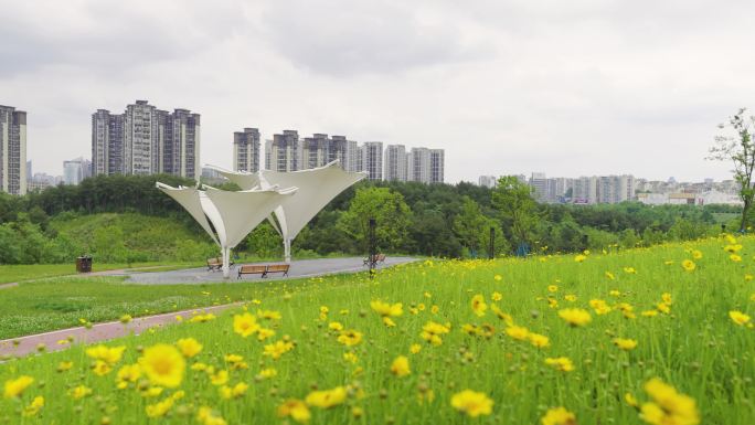 湿地公园小区环境散步小道