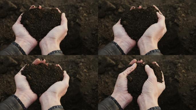 人类用手捧起黑色肥沃土壤