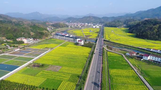 诸暨东白湖油菜花航拍