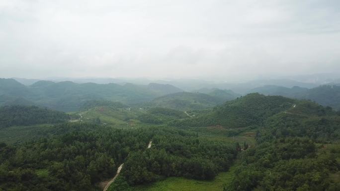 航拍林中公路，大山森林，一群人徒步运动