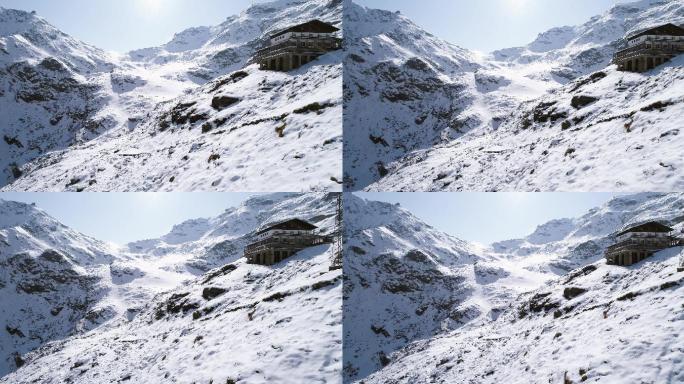 冬季户外雪景高山野生自然景观