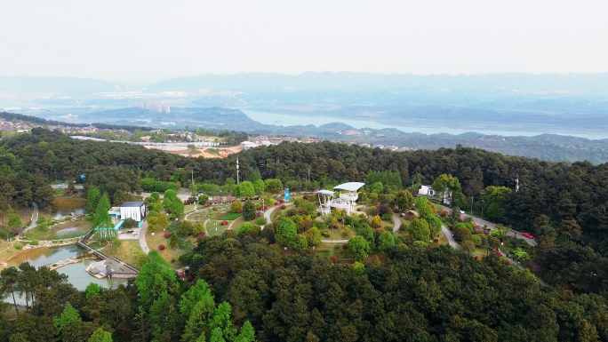 重庆铁山坪森林公园