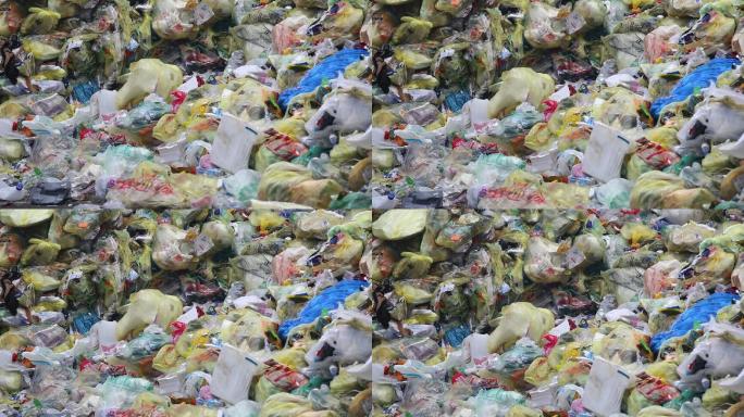 堆积成山的塑料垃圾