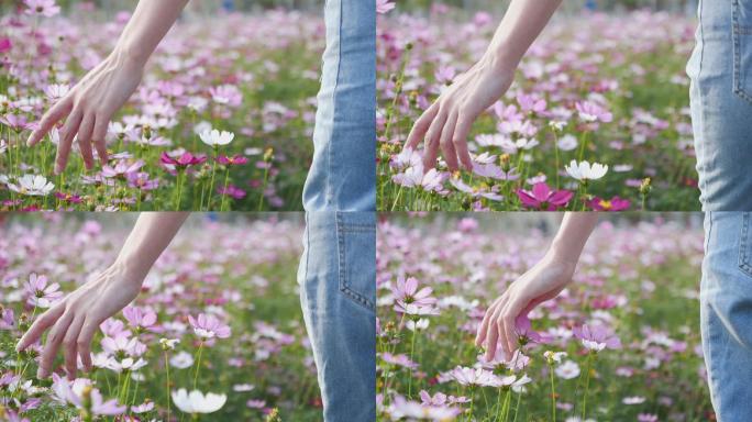 女孩伸手抚摸花朵慢镜头视频素材