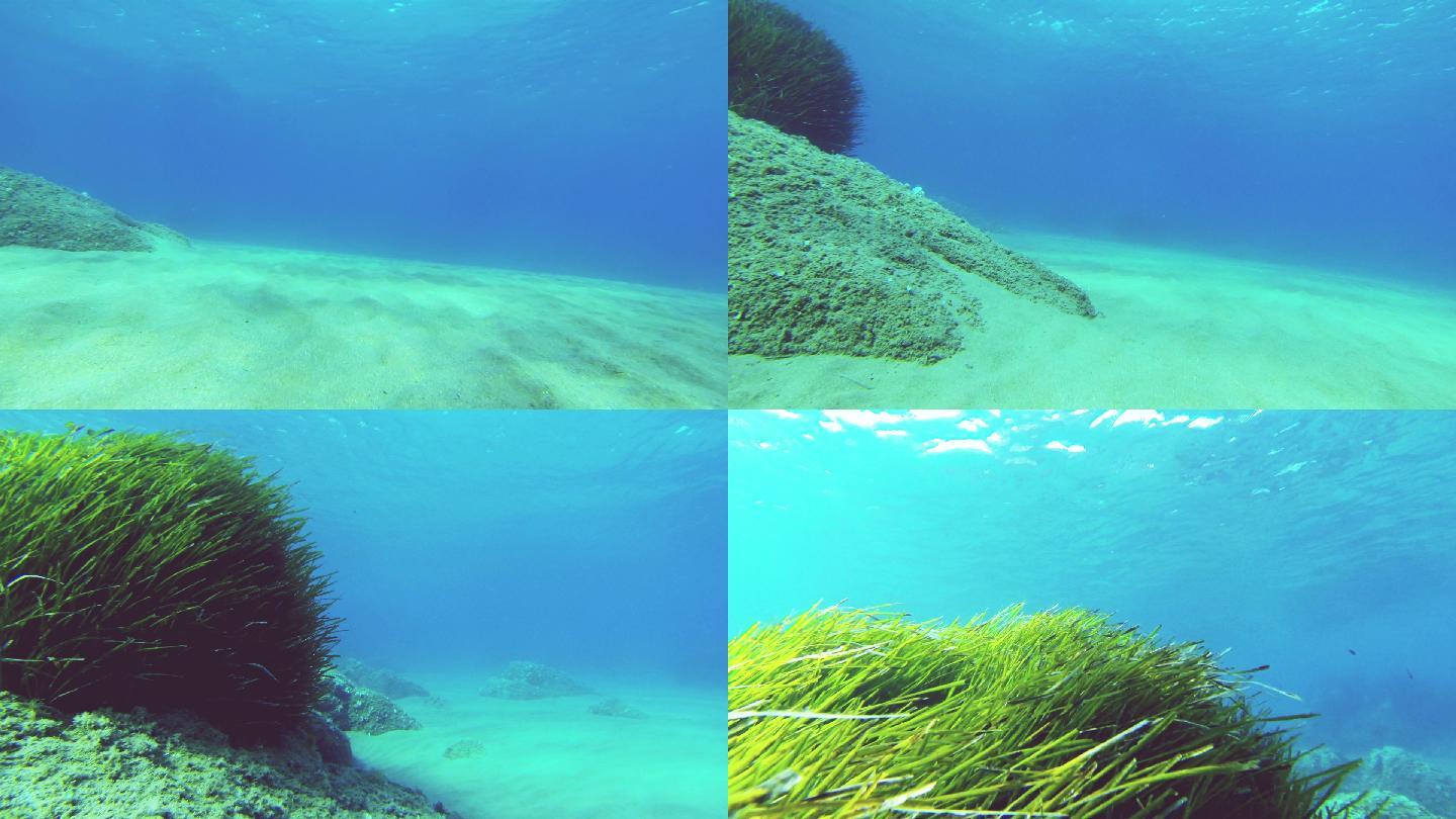 在深海里潜水水底海洋珊瑚礁海草下潜