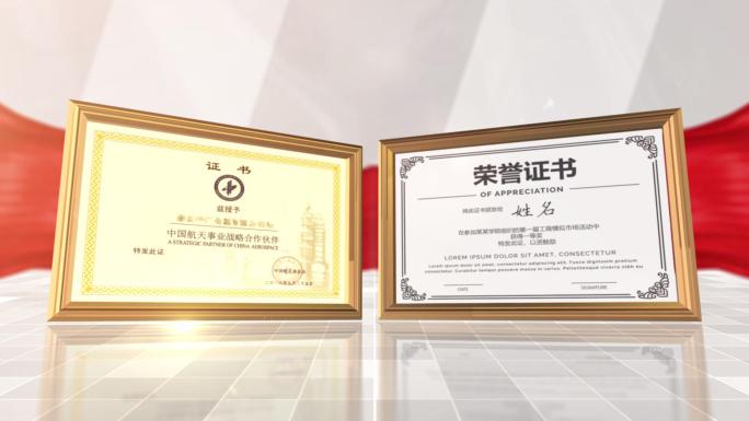 E3D金色边框奖状证书荣誉墙展示