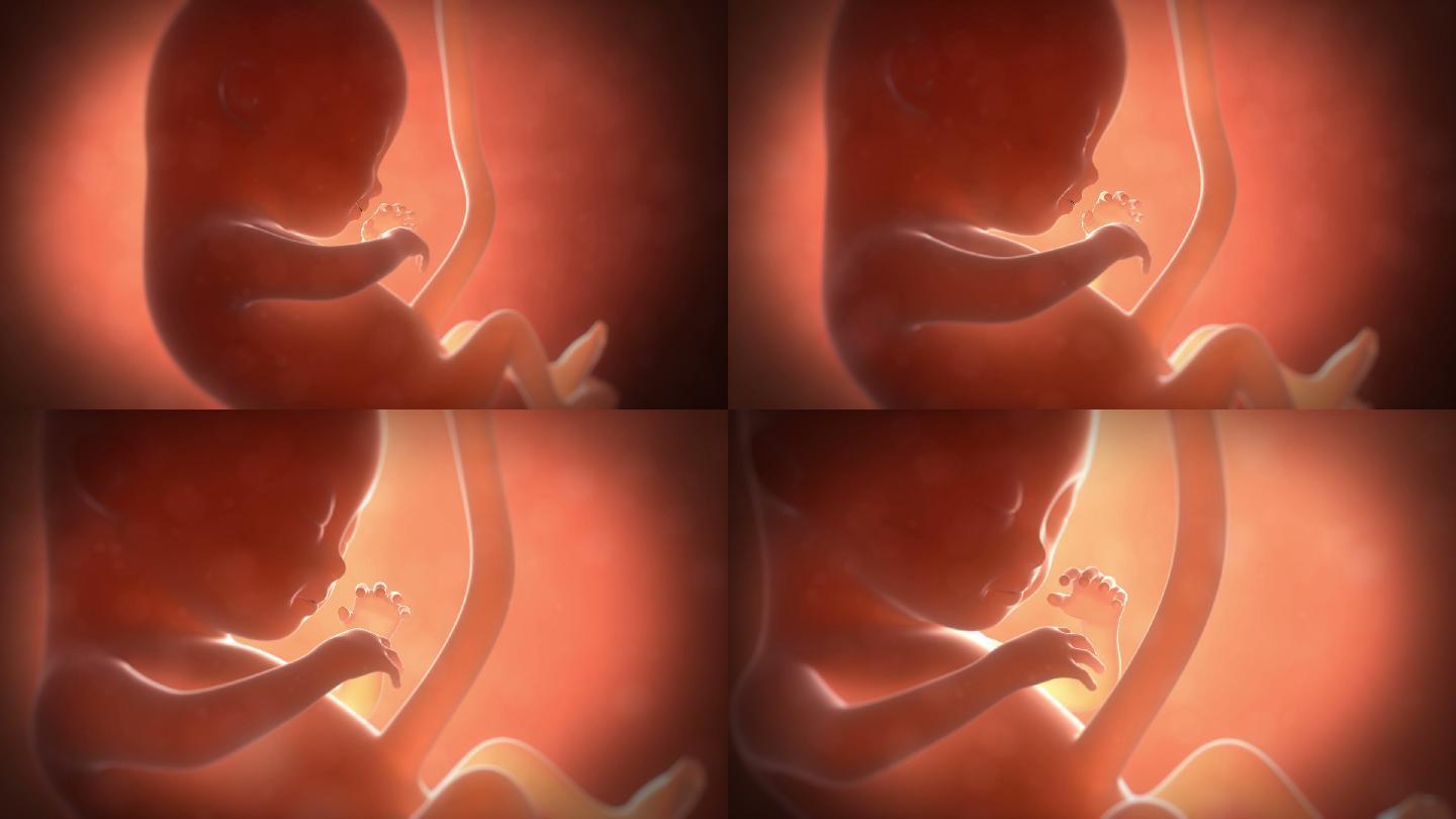 怀孕一个月有多大图片,怀孕一个月胎儿有多大 - 伤感说说吧