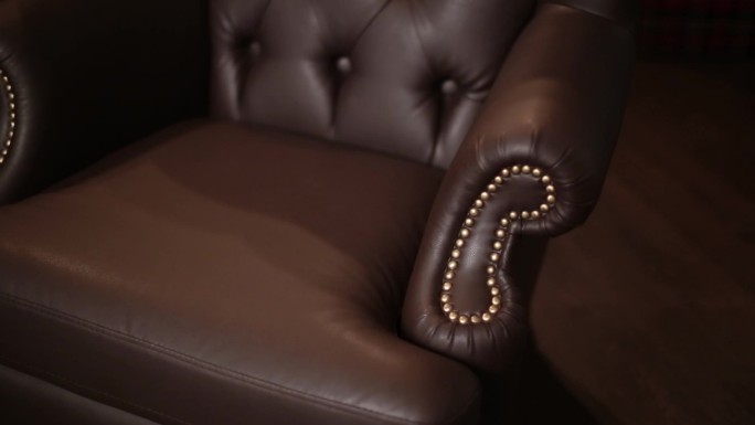 优雅的饱和光泽金皮革沙发椅质感