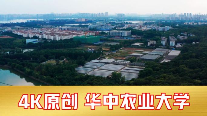 华中农业大学高空航拍