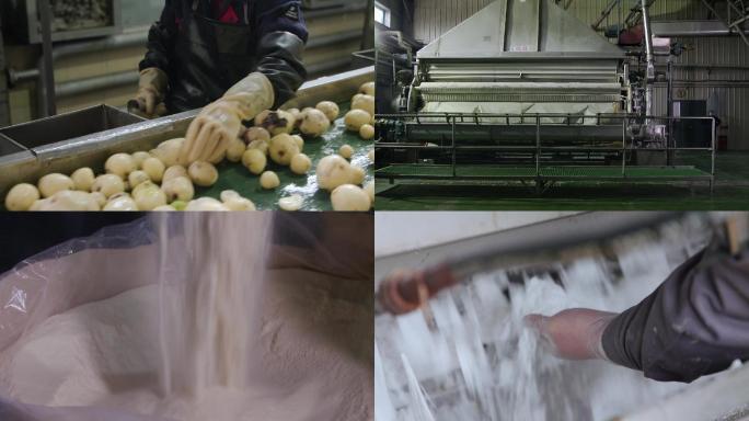 马铃薯淀粉生产线加工淀粉全粉土豆视频素材