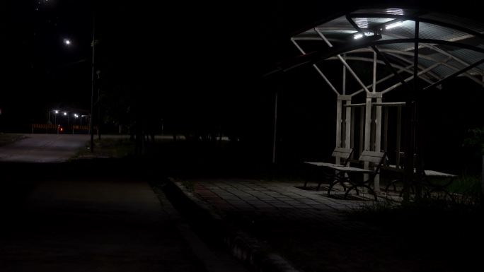 夜间的公交车站台自然绿色优雅