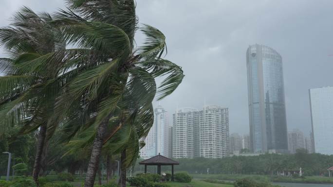 风雨城市