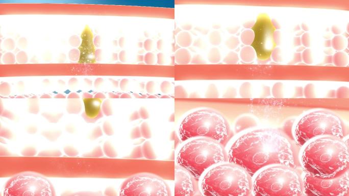渗透细胞皮肤深层组织