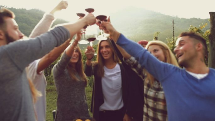 一群朋友在葡萄园里用红酒干杯