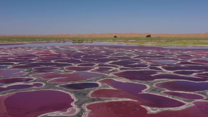 沙漠红色湖