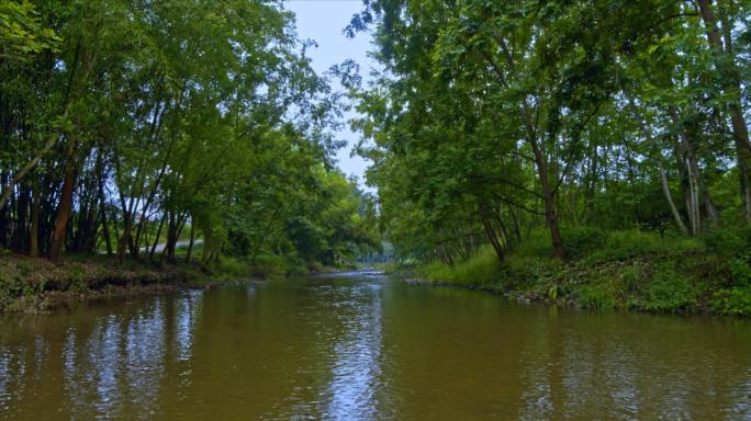 河流和两边的树林