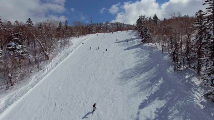 一群人滑雪滑雪服冬季运动白天