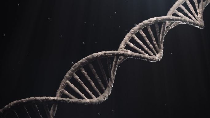 DNA分子结构基因医疗研发