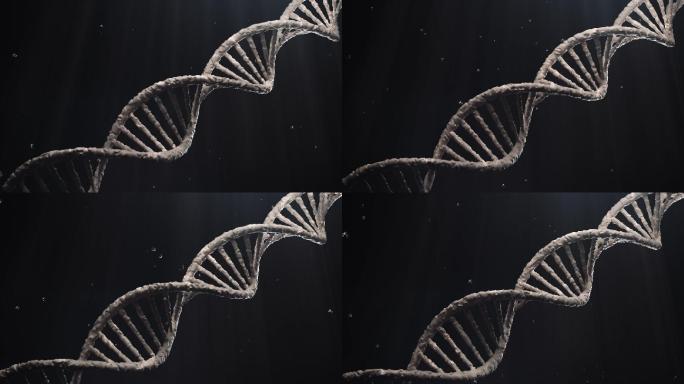 DNA分子结构基因医疗研发