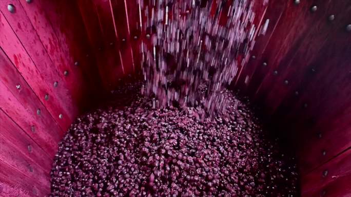 波尔多葡萄园桶内发酵过程中的葡萄酒混合