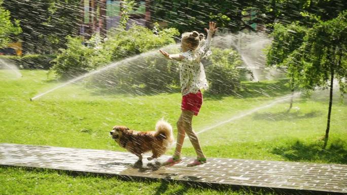 小女孩和狗在公园草坪上玩水