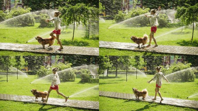 小女孩和狗在公园草坪上玩水