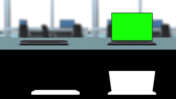 笔记本电脑绿屏