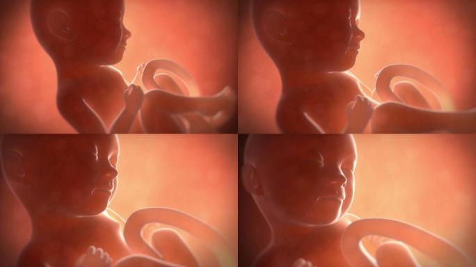 九个月大的胎儿妊娠襁褓婴儿