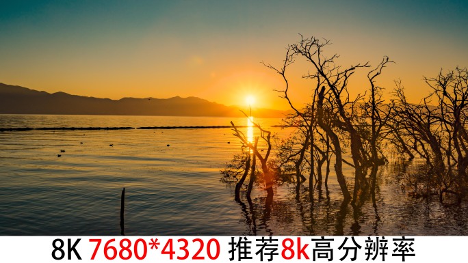 8k延时云南大理洱海桃源村码头日出素材