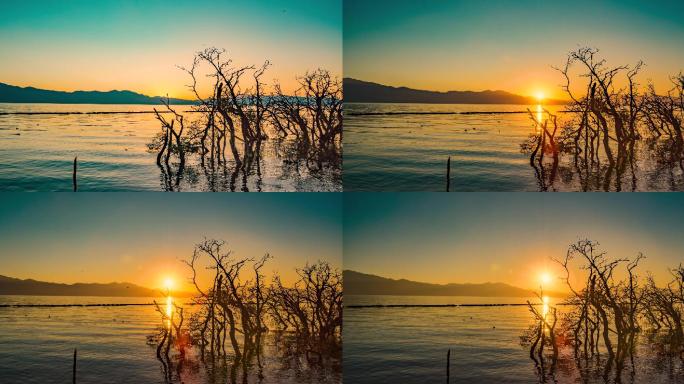 8k延时云南大理洱海桃源村码头日出素材