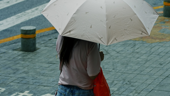 雨天街景 视频 素材