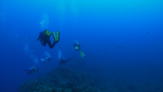 休闲潜水，海底暗礁