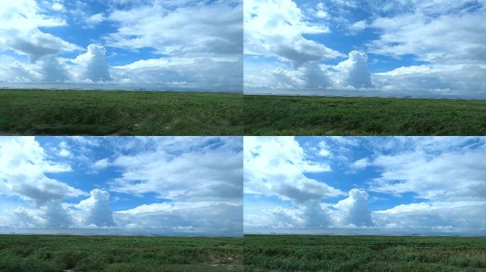 横沙岛湿地蓝天白云