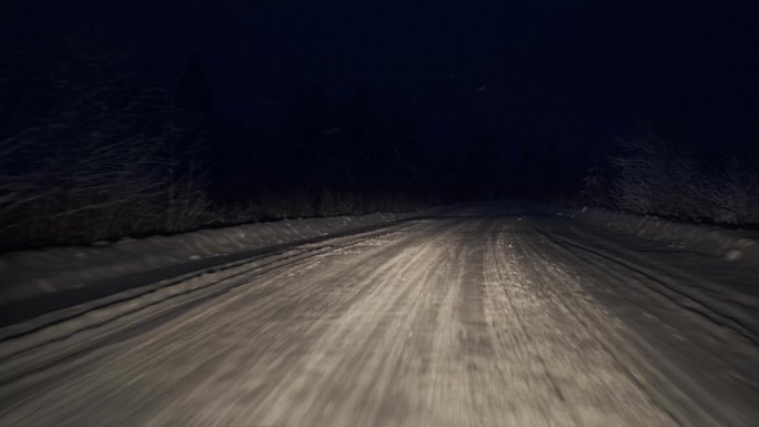 晚上在森林里的道路上开车