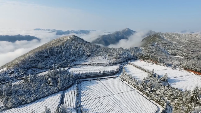 北方大雪山区云海航拍