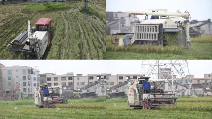 收割机乡村振兴三农政策现代农业生产种植