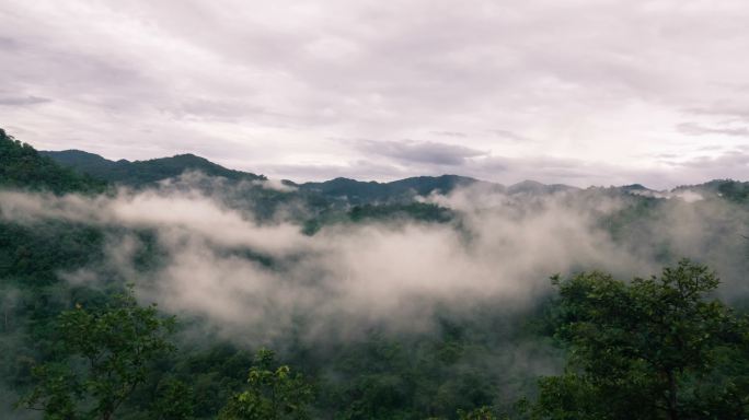 山间翻滚的云雾树木白天云天