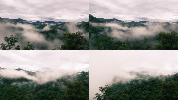 山间翻滚的云雾树木白天云天