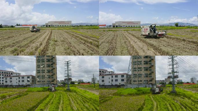 乡村振兴现代农业收割机丰收季水稻培育