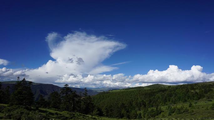 【4k】西藏川西蓝天白云草地风光延时