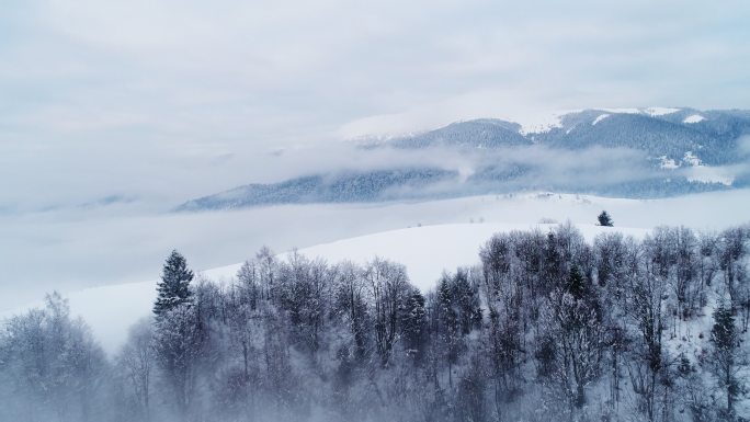 雾蒙蒙的冬季山上雪景