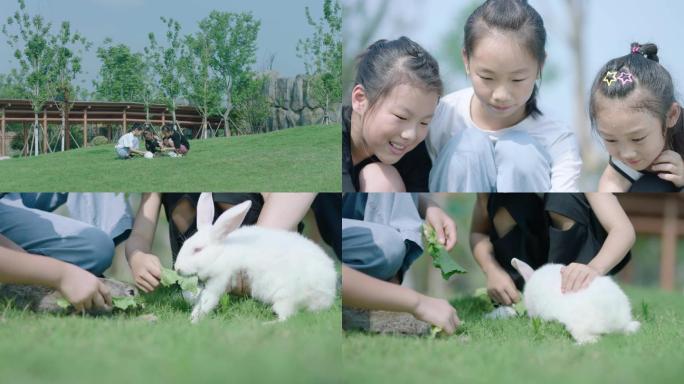 小孩子跟兔子在户外愉快的玩耍